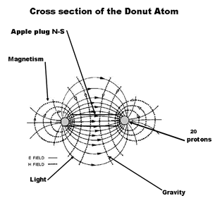 Donut Atom Model